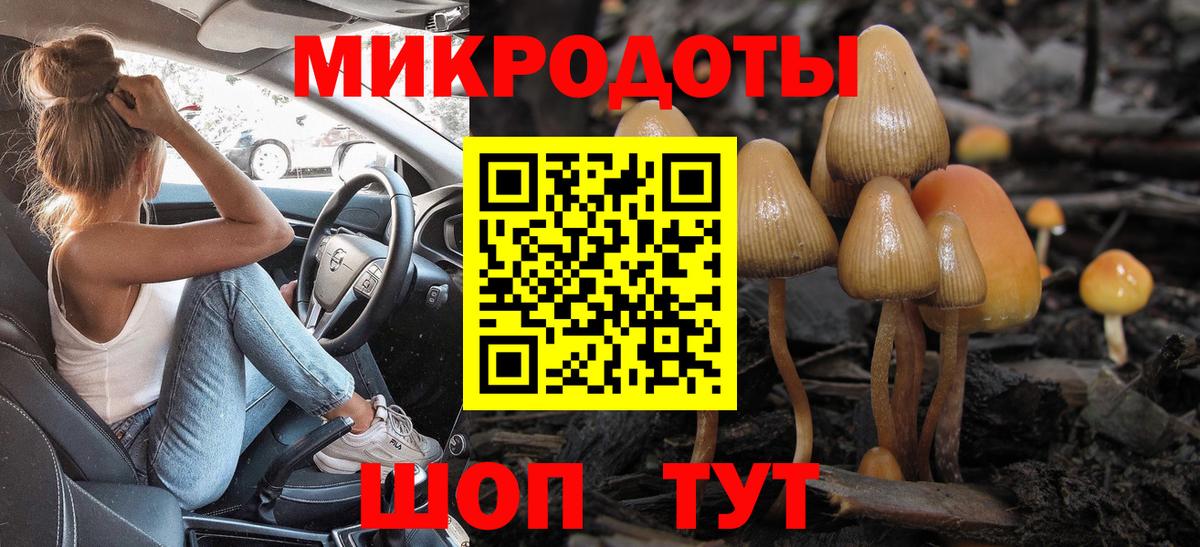 Псилоцибиновые грибы Magic Shrooms  Вход с VPN  Псилоцибиновые грибы мицелий  Магадан 